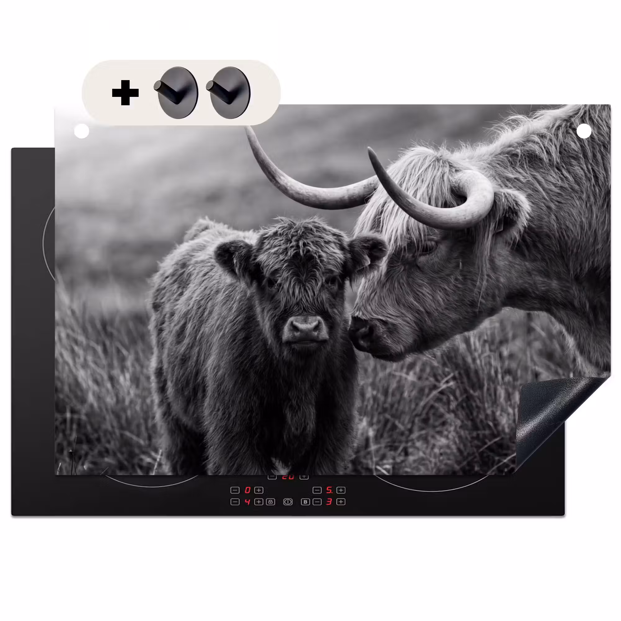 2-in-1 Herdabdeckplatte & Spritzschutz - Schottischer Highlander - Kalb - Schwarz - Weiß