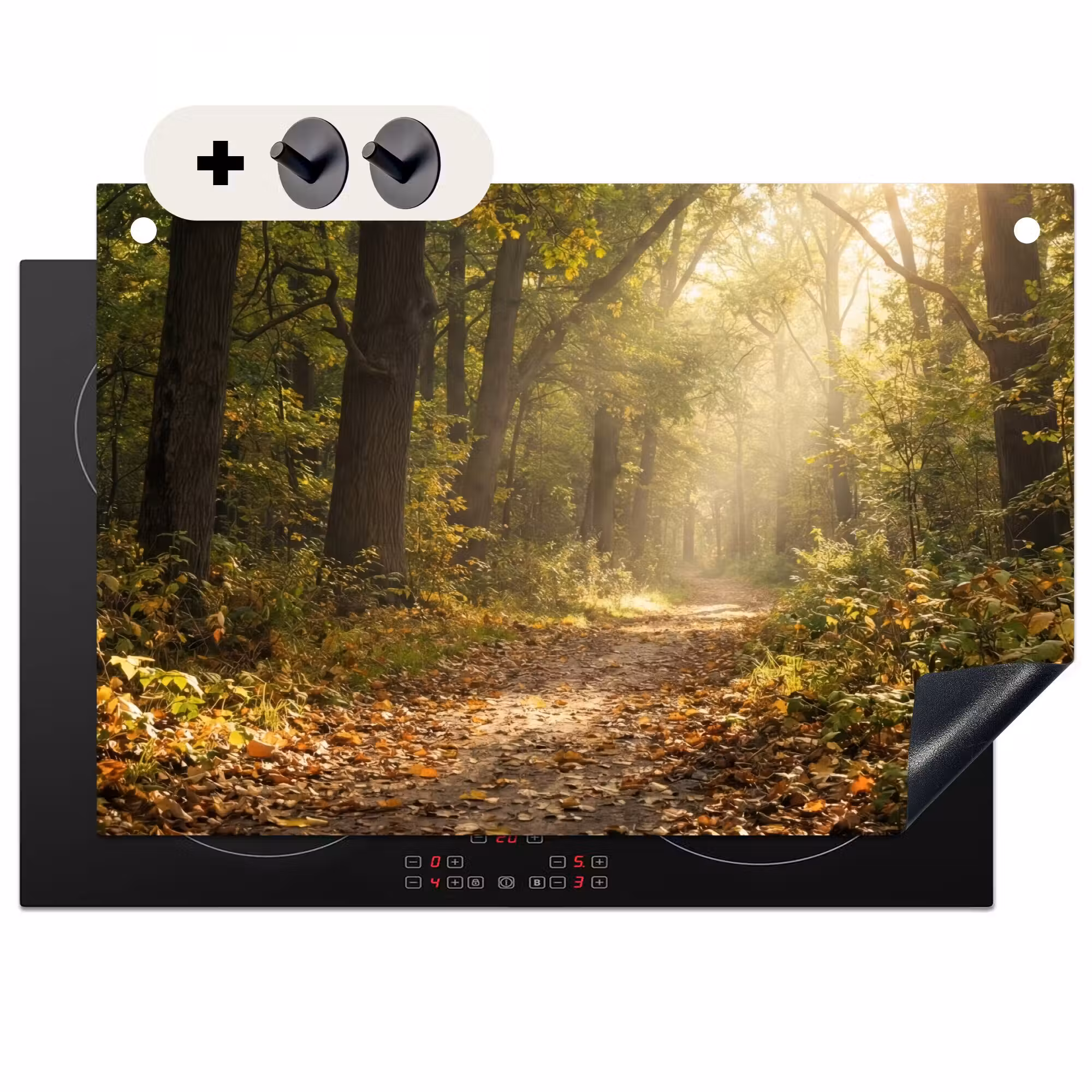 2-in-1 Herdabdeckplatte & Spritzschutz - Sonnenlicht - Waldweg - Bäume