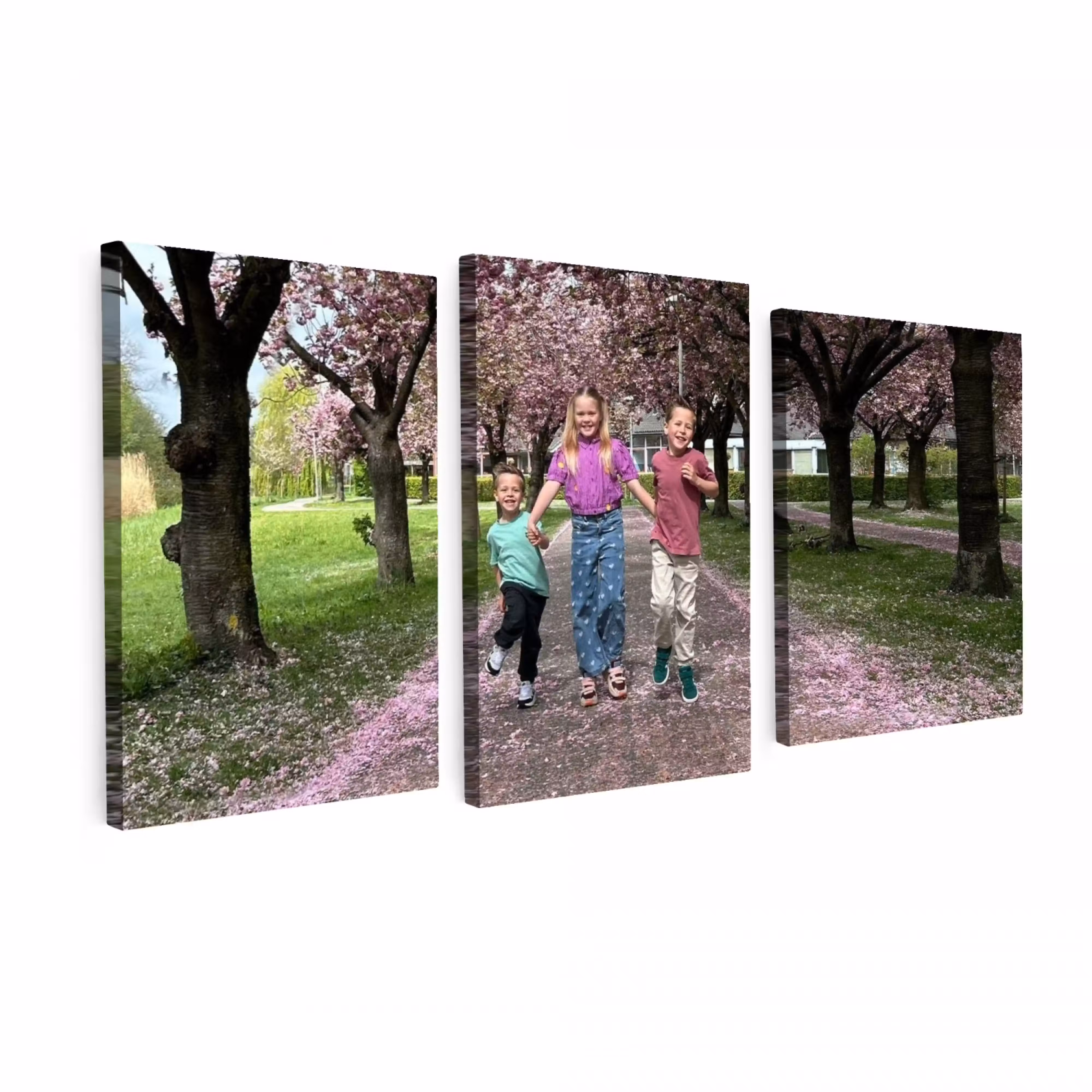 Foto auf Leinwand-Dreiteiler - 120x60 cm