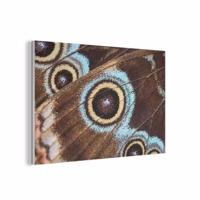 Akustikbild - Flügel - Schmetterling - Blau