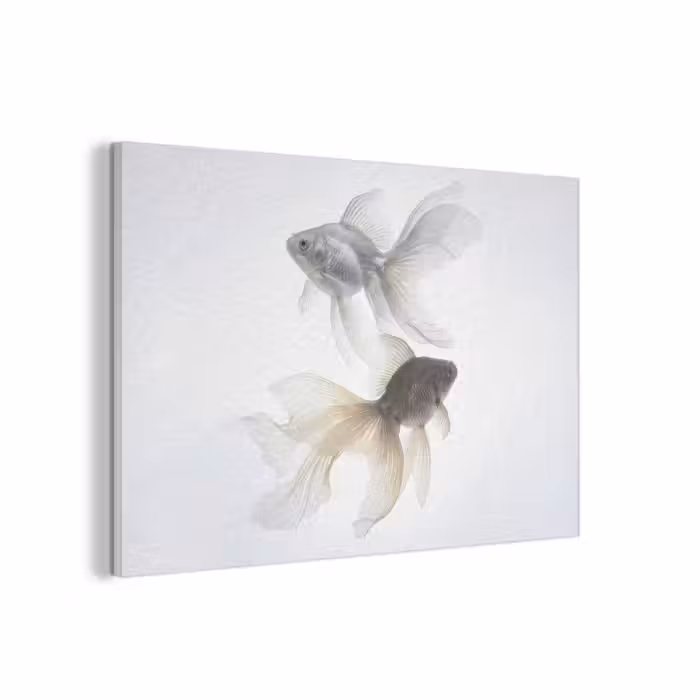 Akustikbild - Goldfisch - Modern - Weiß