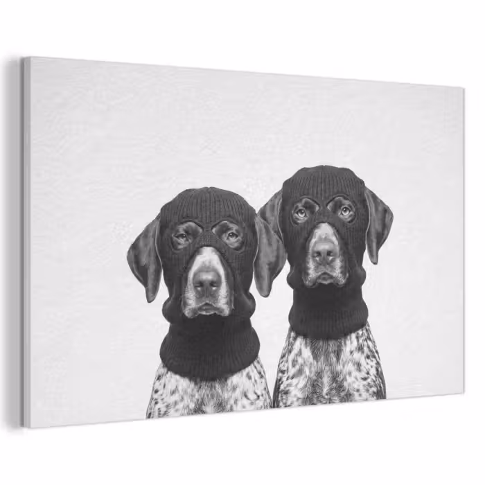 Akustikbild - Hunde - Balaclava - Schwarz - Weiß