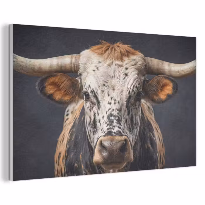 Akustikbild - Taurus - Farbenfroh - Hörner