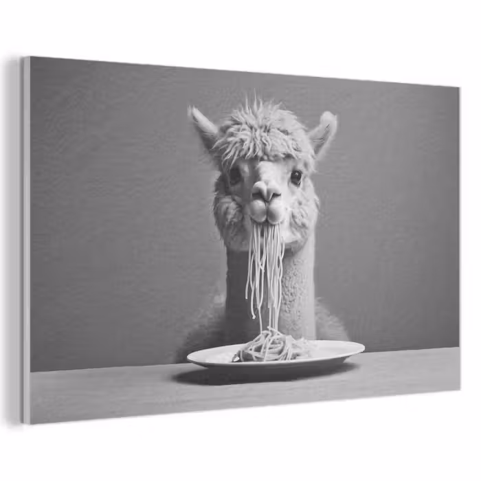 Akustikbild - Alpaka - Nudeln - Schwarz - Weiß - Lustig - Tiere