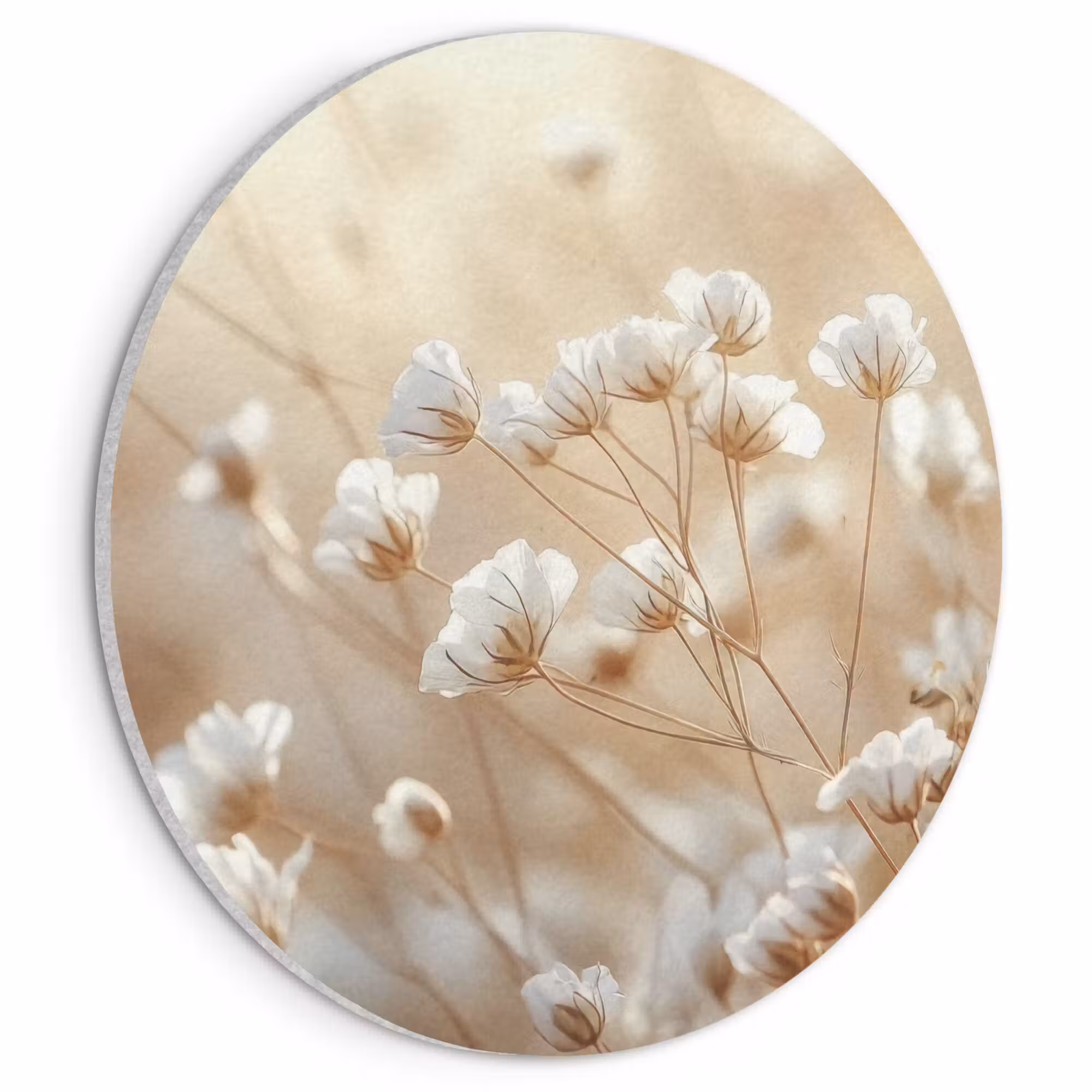 Akustikbild - Rund - Wild - Blumen - Weiß