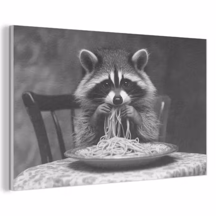 Akustikbild - Waschbär - Niedlich - Pasta - Tischtuch - Schwarz - Weiß