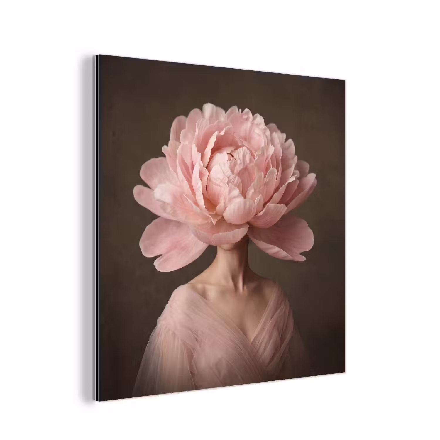 Alu-Dibond-Bild - Gesicht - Rose - Rosa