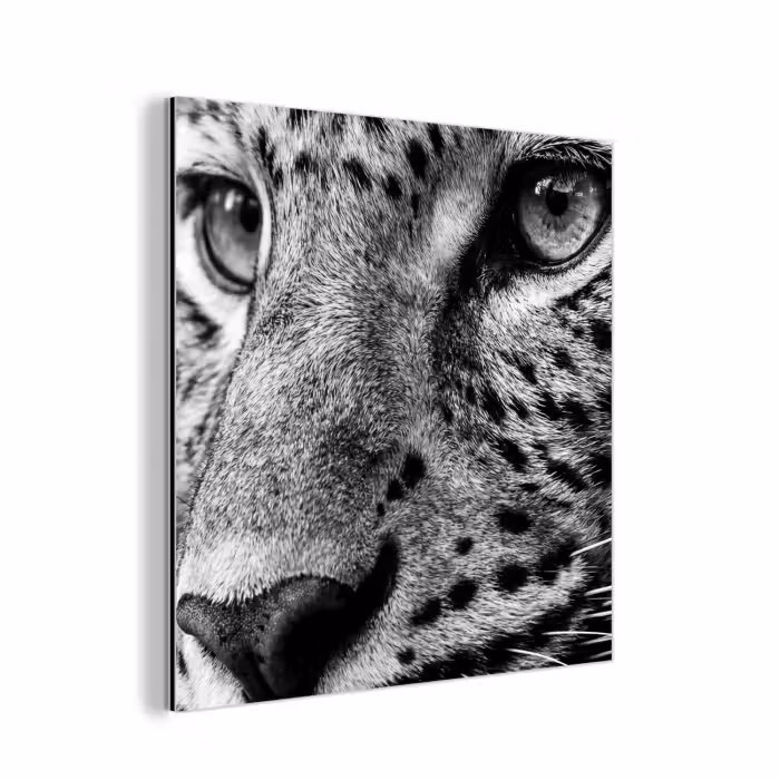 Alu-Dibond-Bild - Leopard - Schwarz - Weiß - Auge