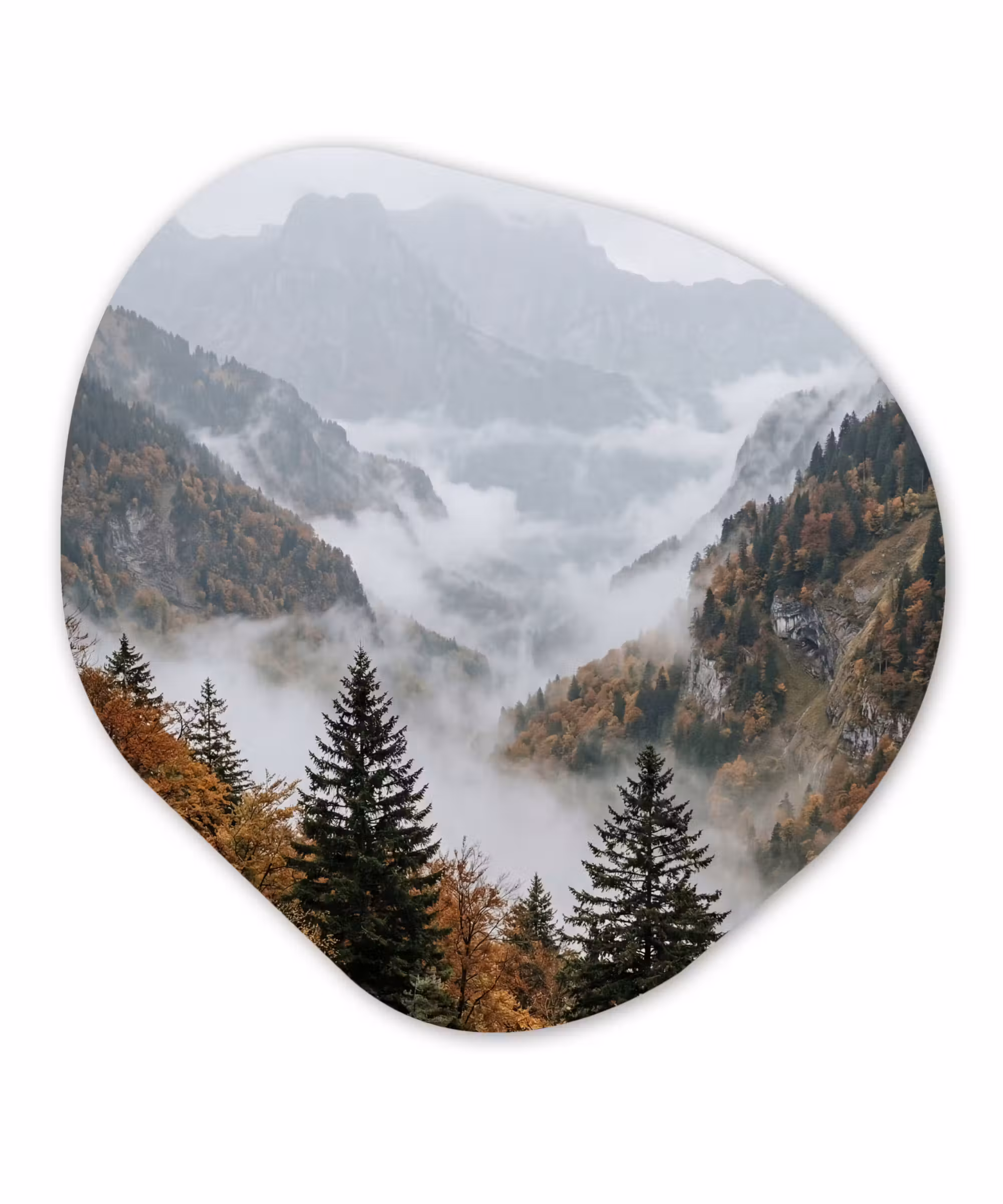 Alu-Dibond-Bild Organische Form - Berge - Tal - Nebel - Herbst - Natur