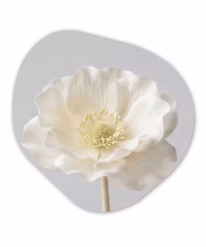 Alu-Dibond-Bild Organische Form - Blume - Minimalistisch -Weiß