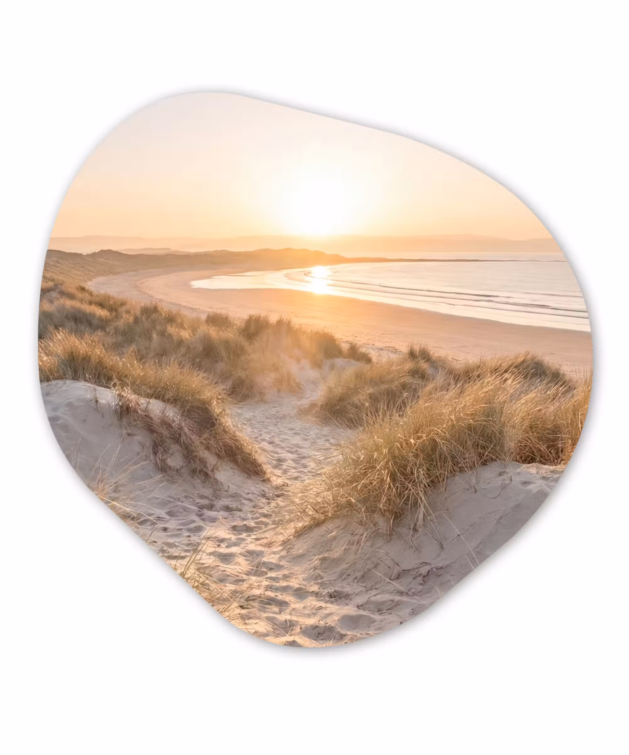 Alu-Dibond-Bild Organische Form - Dünen - Strand - Meer