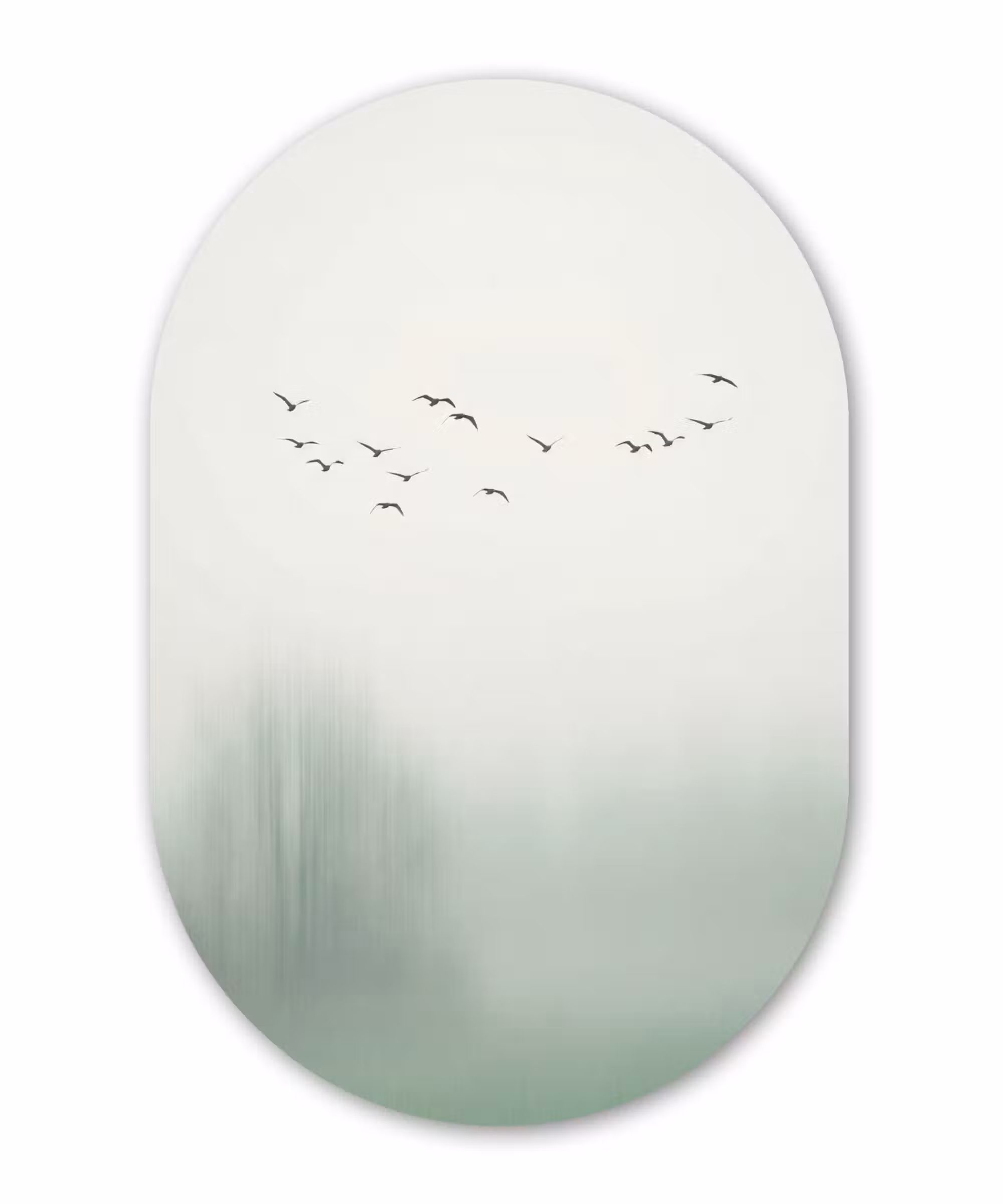 Alu-Dibond-Bild Oval - Vogel – Flug – Natur – Minimalistisch