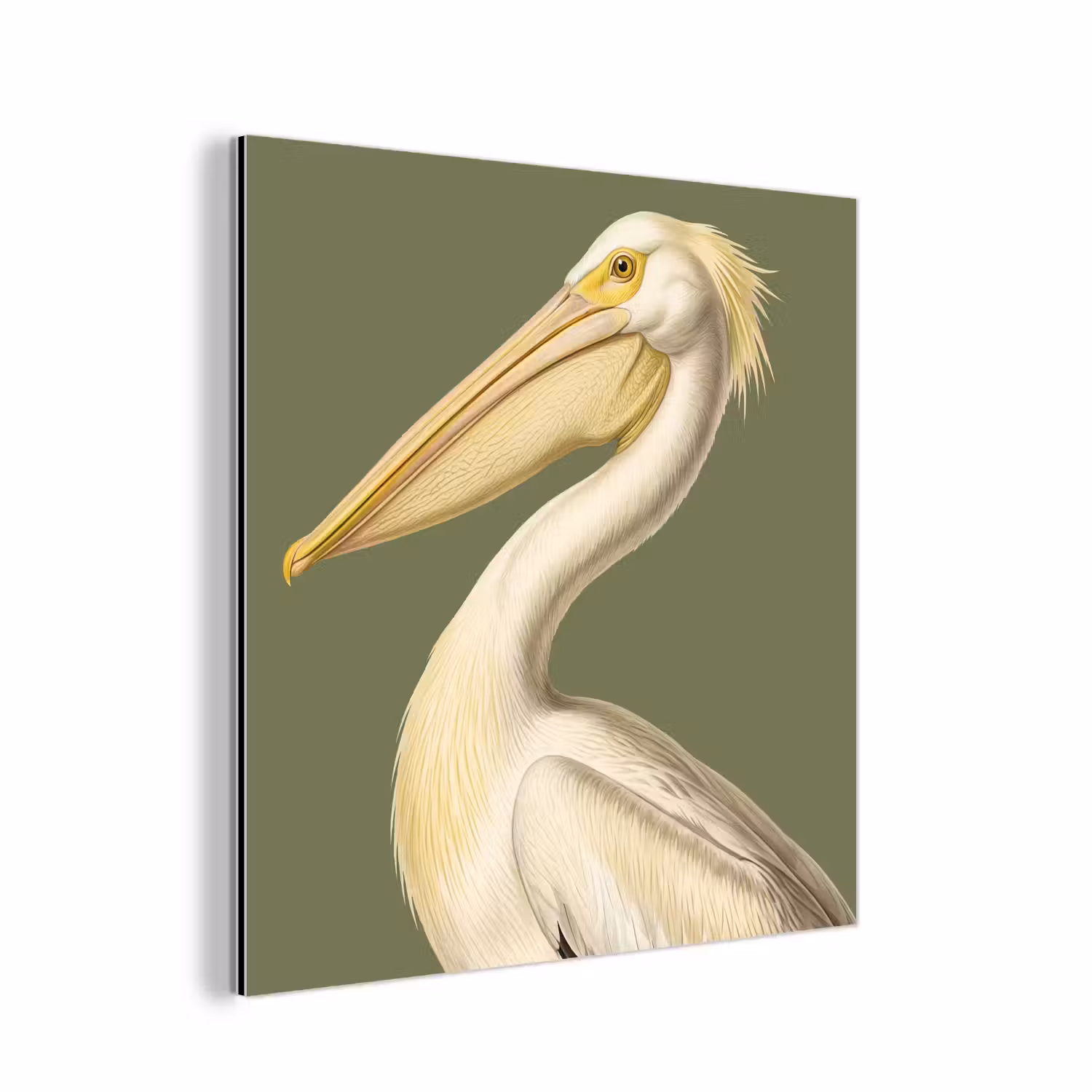 Alu-Dibond-Bild - Pelikan - Weiß - Vogel - Klassisch - Natur