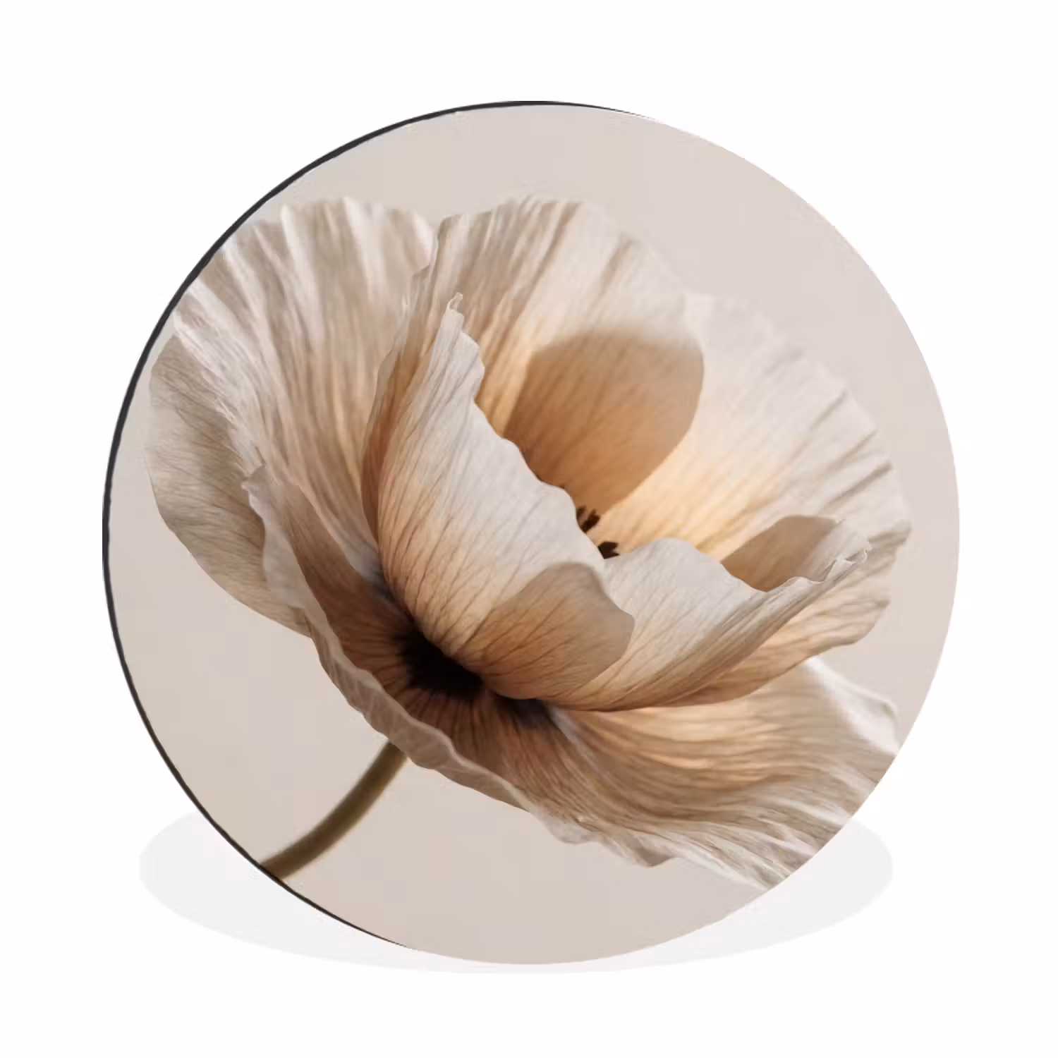 Alu-Dibond-Bild Rund - Blume - Beige - Creme