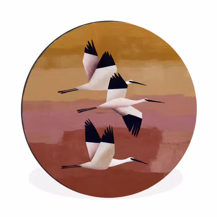 Alu-Dibond-Bild Rund - Vögel - Schnabel - Abstrakt