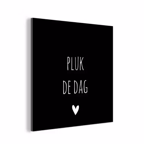 Carpe diem - Spreuken - Pluk de dag - Quotes aluminium wit klein -3d