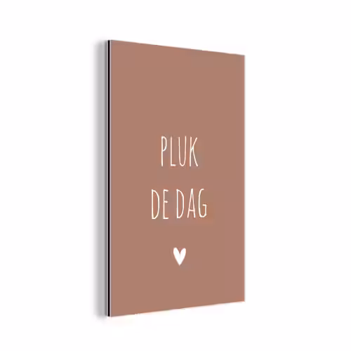 Carpe diem - Spreuken - Pluk de dag - Quotes aluminium wit klein -3d