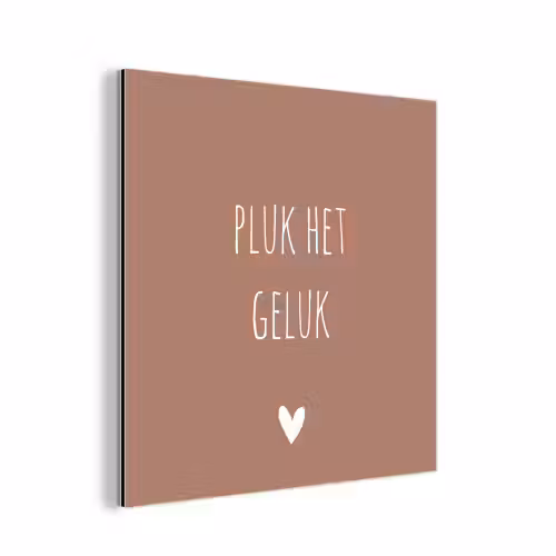 Pluk het geluk - Spreuken - Quotes aluminium wit klein -3d