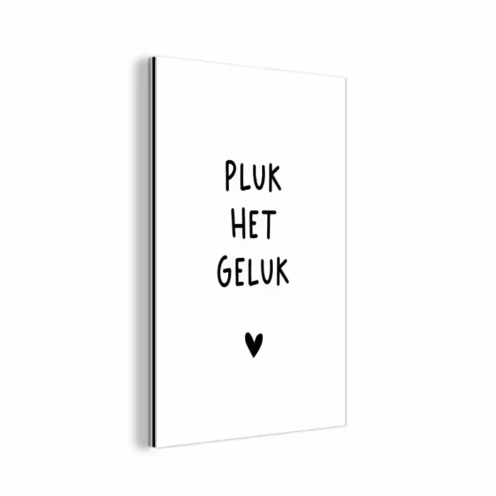 Pluk het geluk - Quotes - Spreuken aluminium wit klein -3d