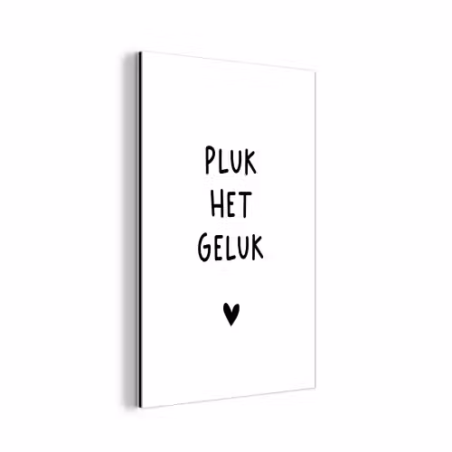 Pluk het geluk - Quotes - Spreuken aluminium wit klein -3d