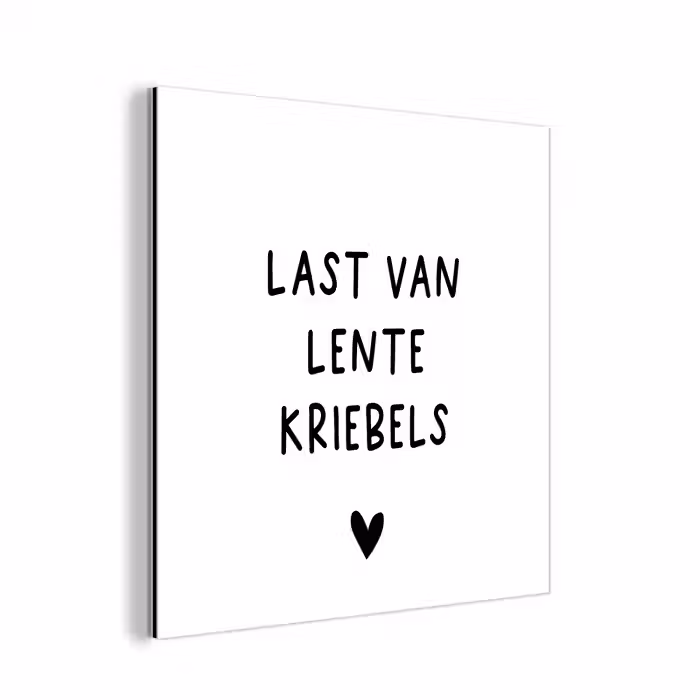 Last van lentekriebels - Spreuken - Quotes aluminium wit klein -3d