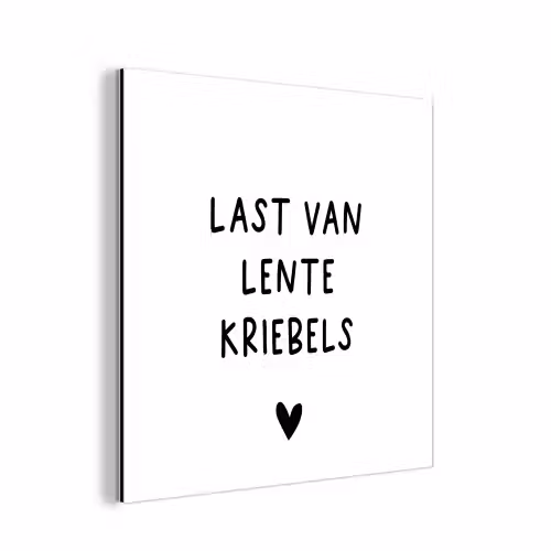 Last van lentekriebels - Spreuken - Quotes aluminium wit klein -3d