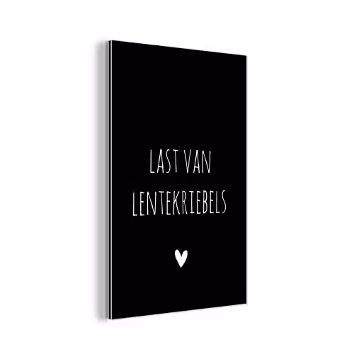 Last van lentekriebels - Quotes - Spreuken aluminium wit klein -3d