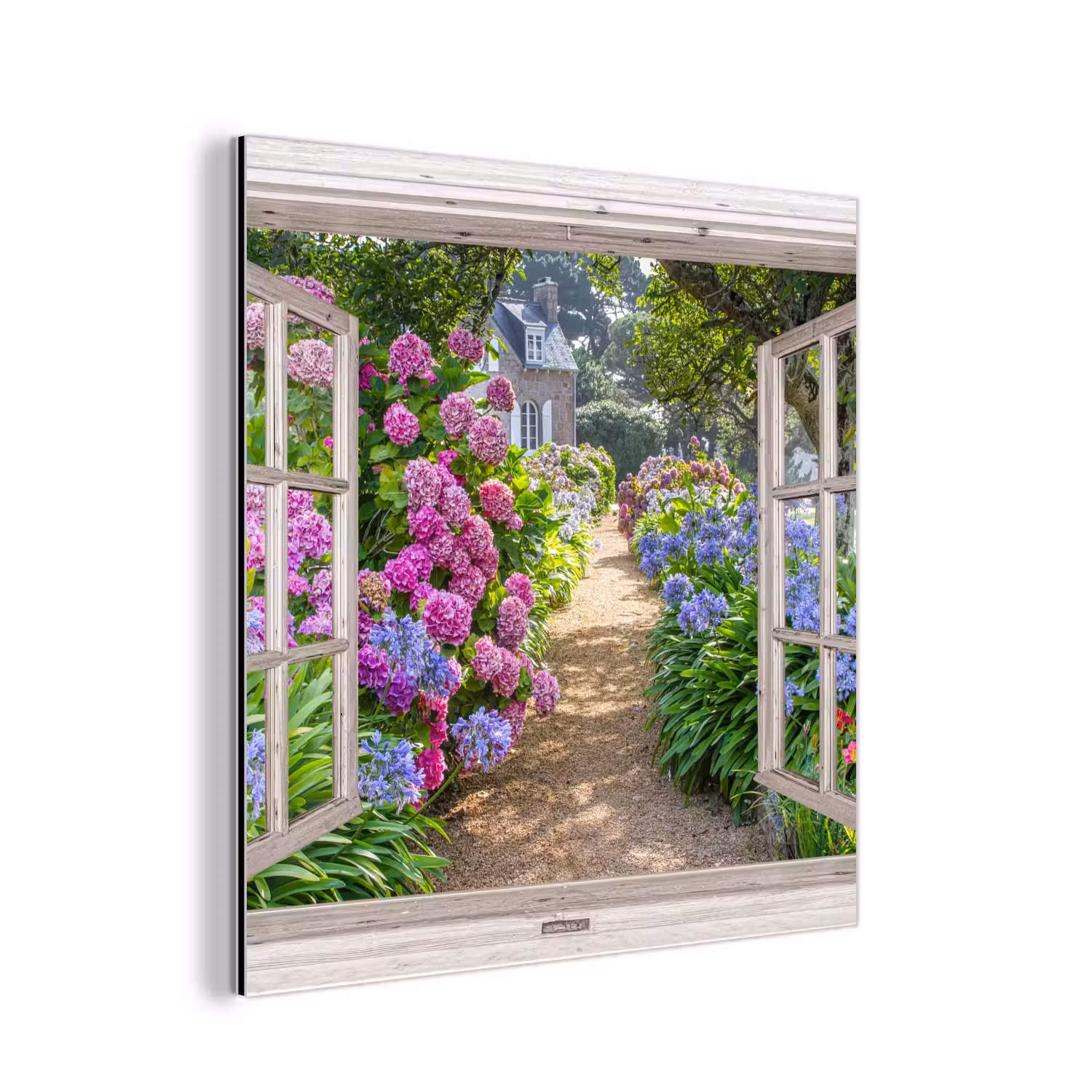 Alu-Dibond-Bild - Hortensie - Ansicht - Blumen - Sommer - Lila - Weg