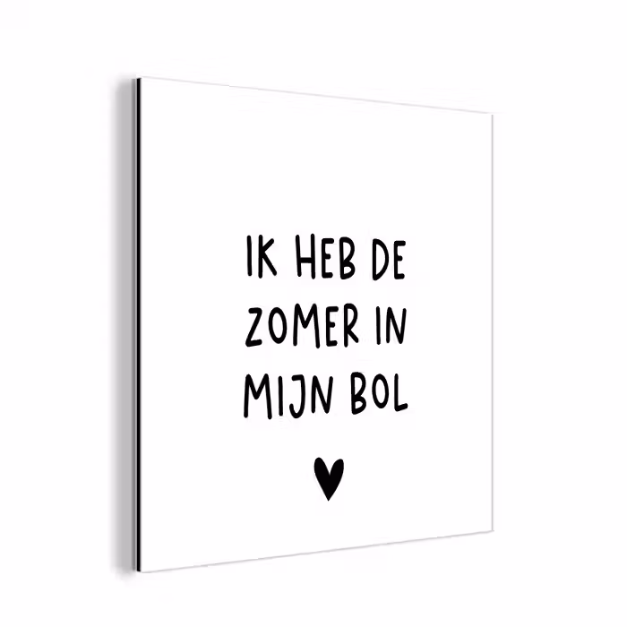 Ik heb de zomer in mijn bol - André Hazes - Spreuken - Quotes aluminium wit klein -3d