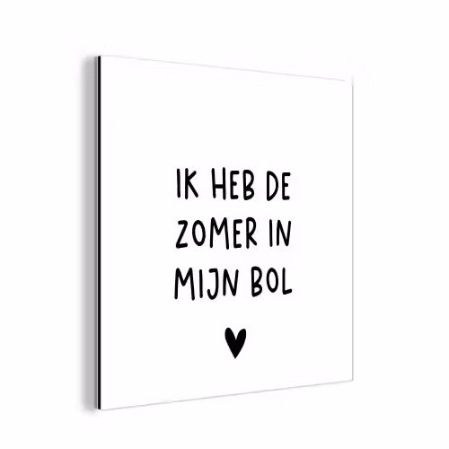 Ik heb de zomer in mijn bol - André Hazes - Spreuken - Quotes aluminium wit klein -3d