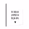 Ik heb de zomer in mijn bol - André Hazes - Spreuken - Quotes aluminium wit klein -3d
