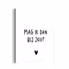 Mag ik dan bij jou - Spreuken - Claudia de Breij - Quotes aluminium wit klein -3d