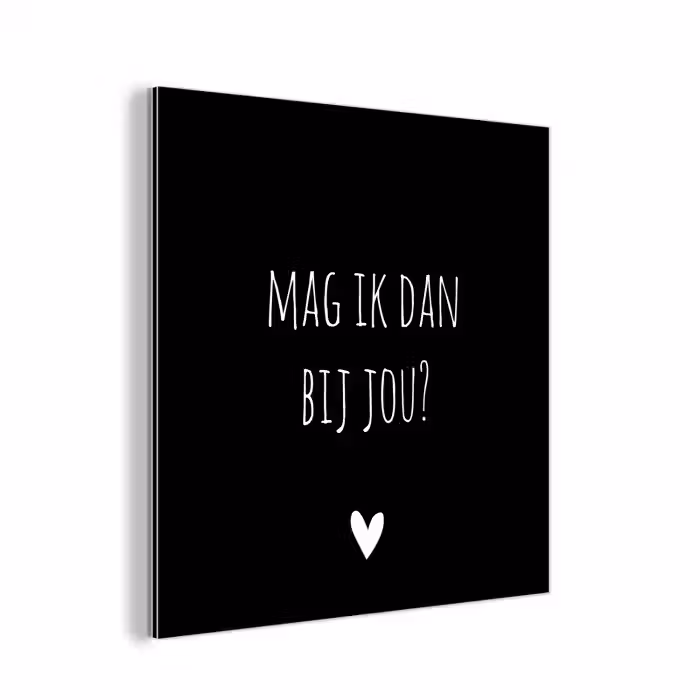 Mag ik dan bij jou - Spreuken - Quotes - Claudia de Breij aluminium wit klein -3d