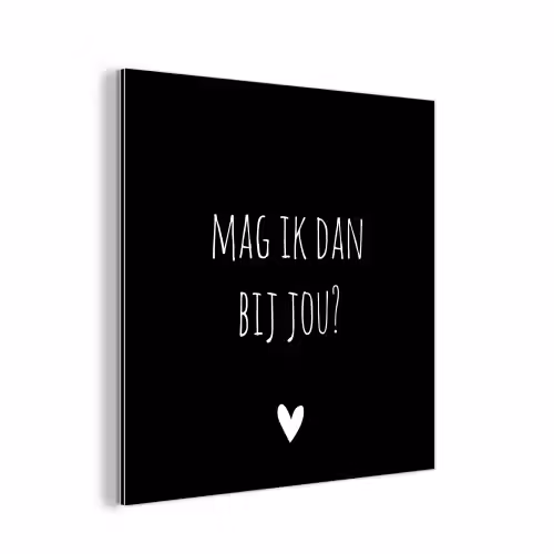 Mag ik dan bij jou - Spreuken - Quotes - Claudia de Breij aluminium wit klein -3d