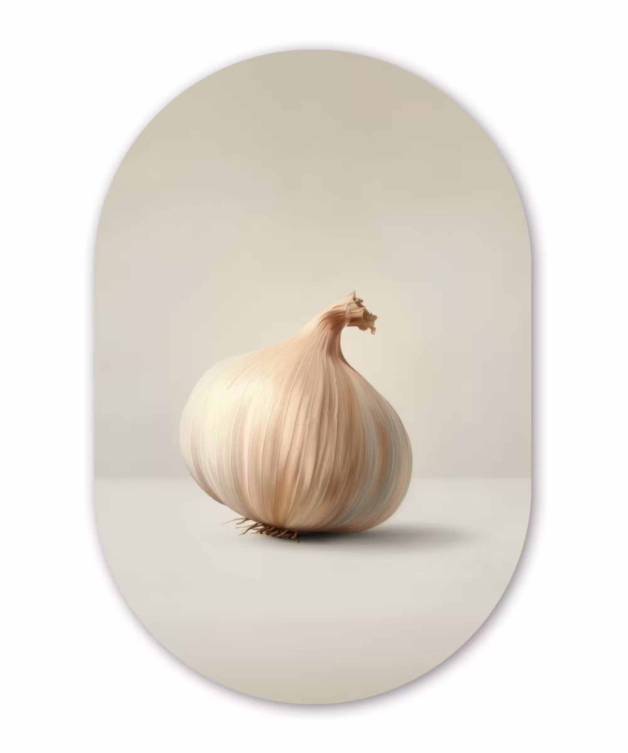 Alu-Dibond-Bild Oval - Knoblauch - Natürlich - Beige