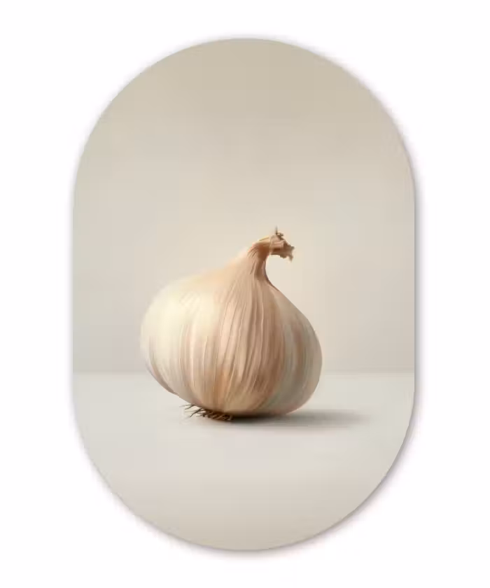Alu-Dibond-Bild Oval - Knoblauch - Natürlich - Beige