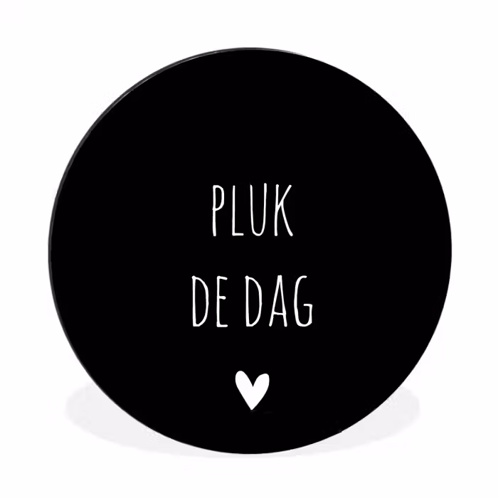 Carpe diem - Spreuken - Pluk de dag - Quotes Wandcirkel aluminium klein -3d