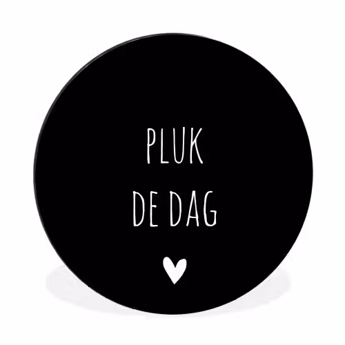 Carpe diem - Spreuken - Pluk de dag - Quotes Wandcirkel aluminium klein -3d