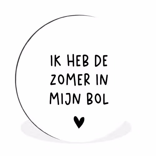 Ik heb de zomer in mijn bol - André Hazes - Spreuken - Quotes Wandcirkel aluminium klein -3d