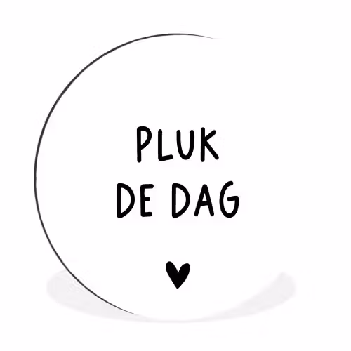 Spreuken - Quotes - Pluk de dag - Carpe diem Wandcirkel aluminium klein -3d