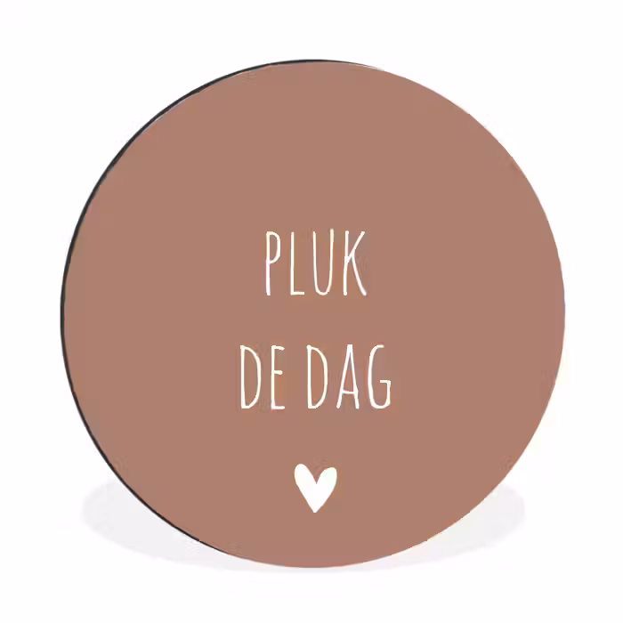 Quotes - Carpe diem - Pluk de dag - Spreuken Wandcirkel aluminium klein -3d