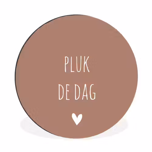 Quotes - Carpe diem - Pluk de dag - Spreuken Wandcirkel aluminium klein -3d