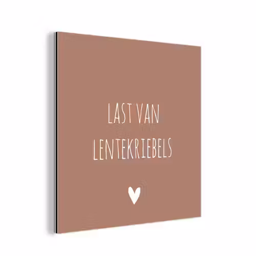 Spreuken - Last van lentekriebels - Quotes aluminium wit klein -3d