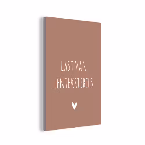 Spreuken - Last van lentekriebels - Quotes aluminium wit klein -3d