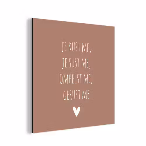 Spreuken - Je kust me je sust me - Maaike Ouboter - Quotes aluminium wit klein -3d