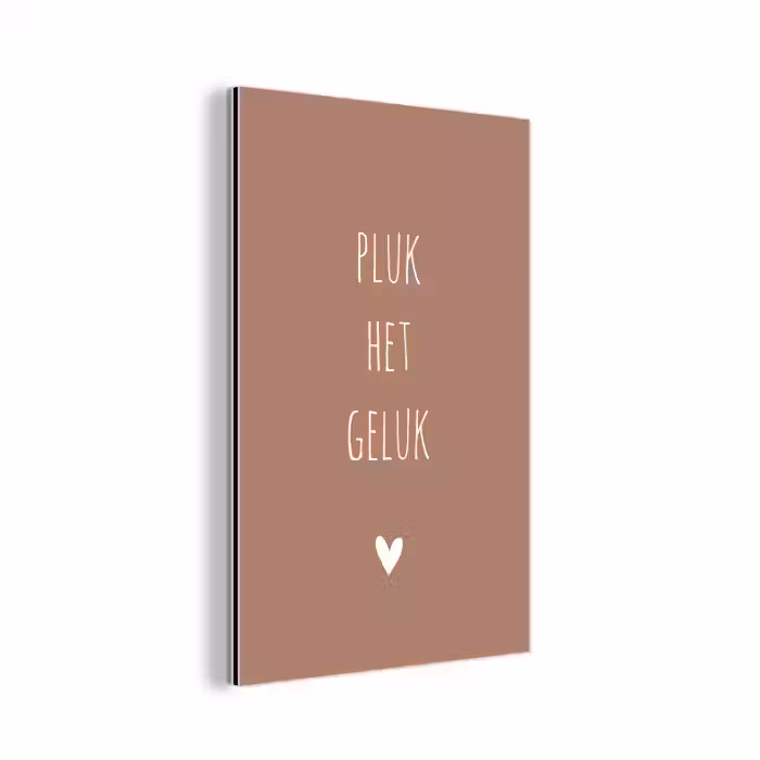 Spreuken - Pluk het geluk - Quotes aluminium wit klein -3d