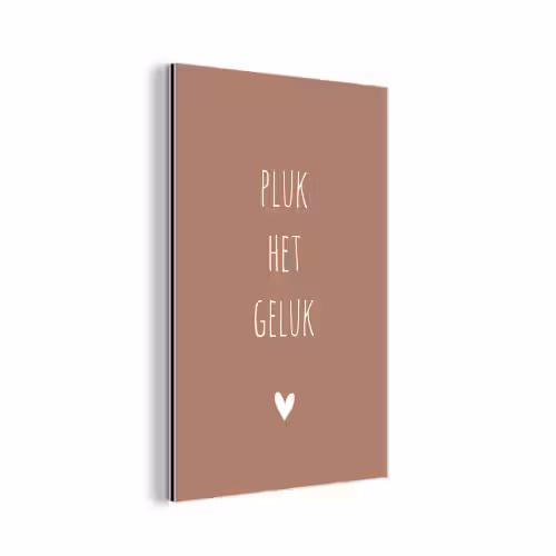 Spreuken - Pluk het geluk - Quotes aluminium wit klein -3d