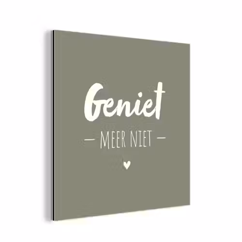 Spreuken - Geniet meer niet - Zomer - Tekst - Genieten aluminium wit klein -3d