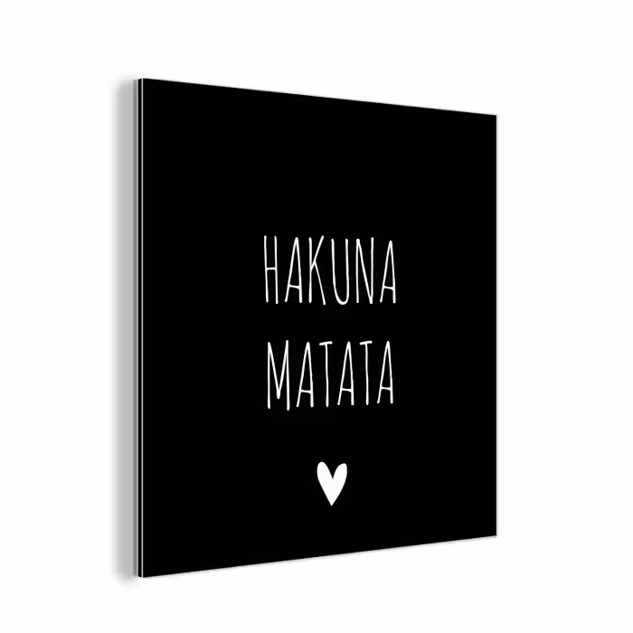 Spreuken - Hakuna matata - Quotes aluminium wit klein -3d