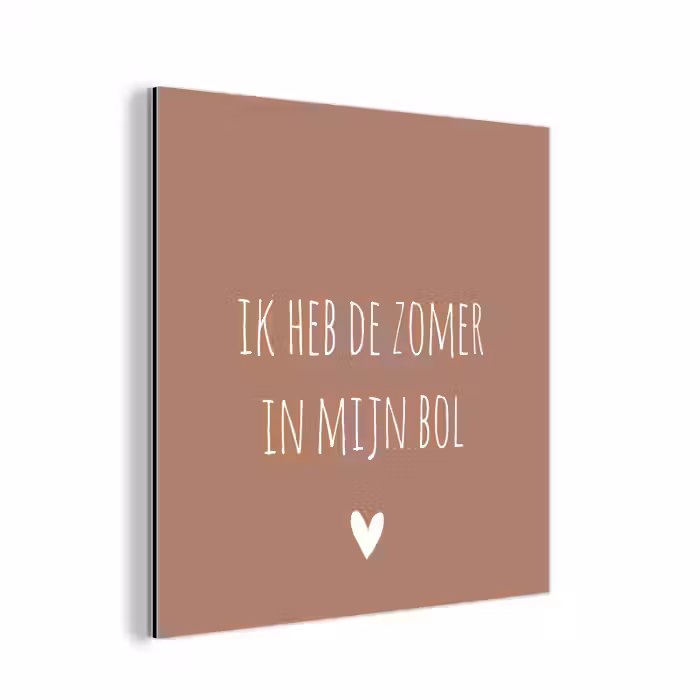 Spreuken - Ik heb de zomer in mijn bol - Quotes - André Hazes aluminium wit klein -3d